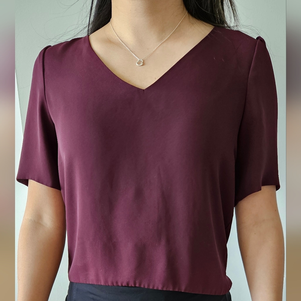 BABATON Aritzia Randy Blouse